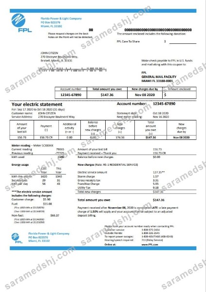 USA Florida Power & Light Company (FPL) electricity utility bill template in Word and PDF format